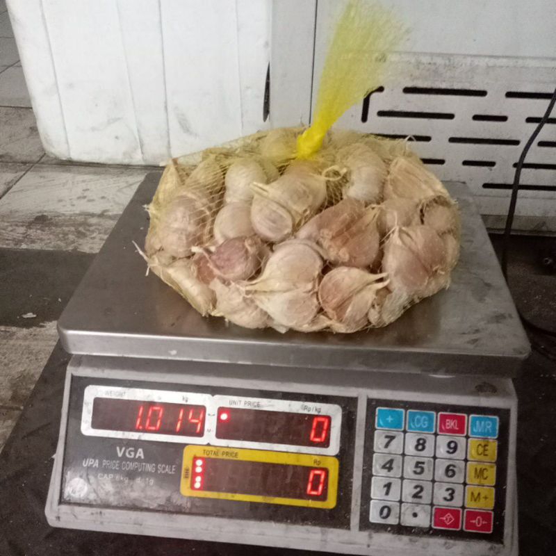 

Bawang Putih Kating Bersih Kualitas Premium