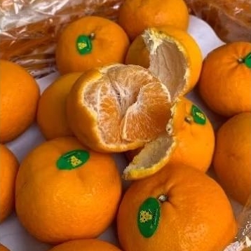 

Jerukn Wogan Tiger [ 1kg ]