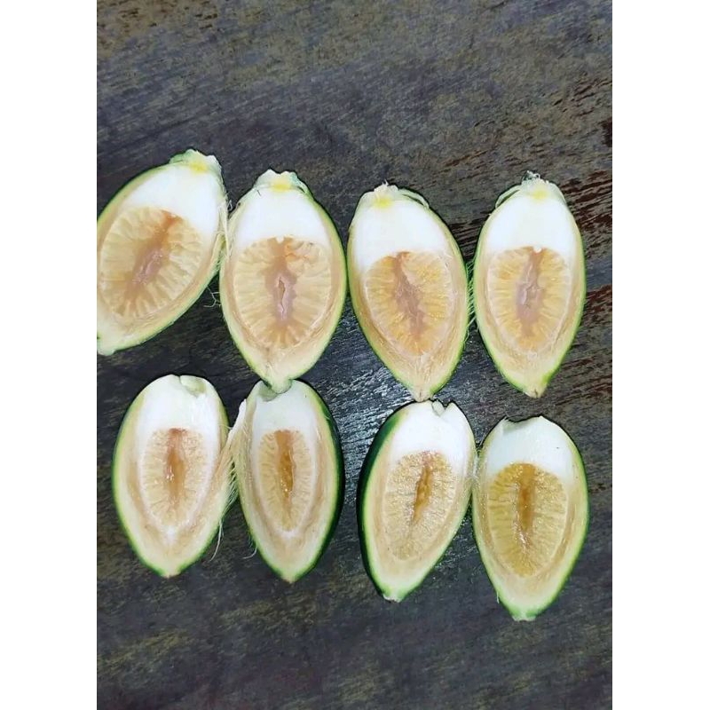 

pinang muda/pinang jus segar