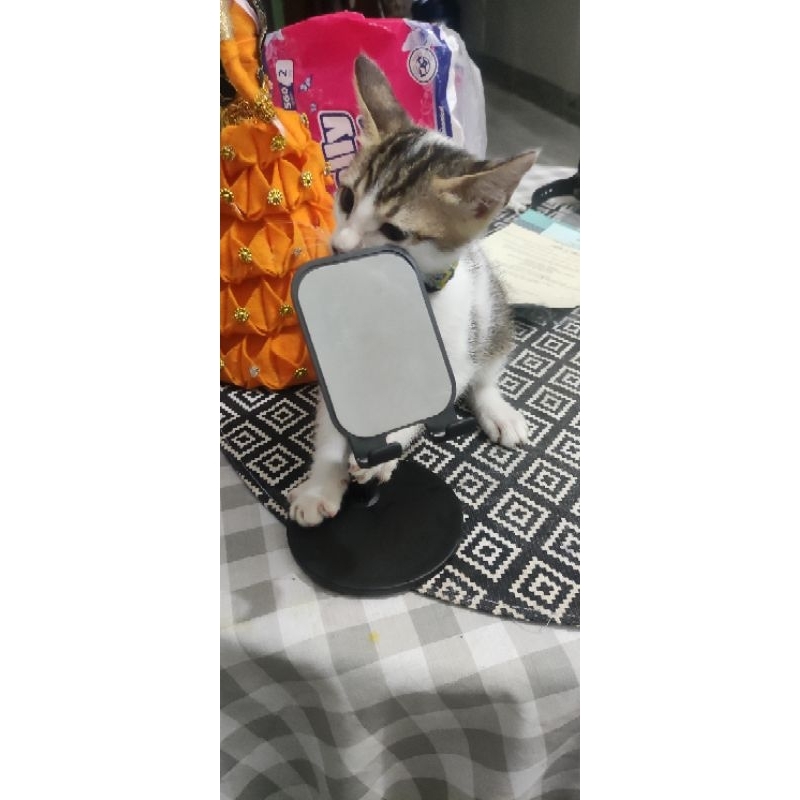 

ID Card Custom Premium