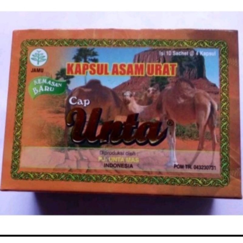 kapsul asam urat cap unta