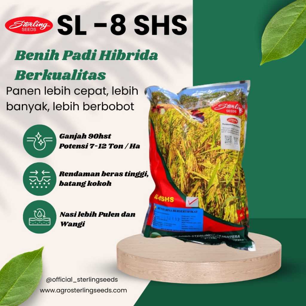 Benih Padi Hibrida Sterling SL-8SHS 1 Kg