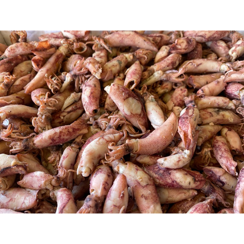 

Cumi Sotong