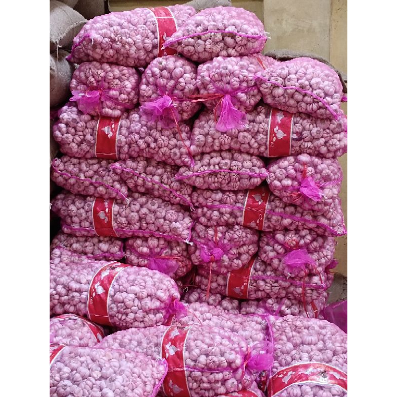 

BAWANG PUTIH PREMIUM TANPA BS