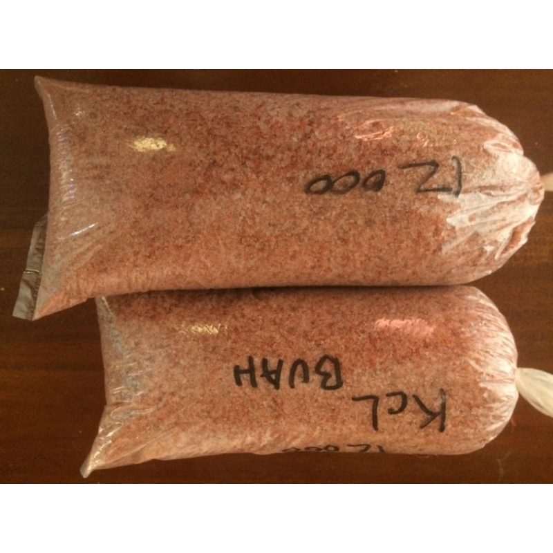 pupuk Kcl mahkota origin of chile.