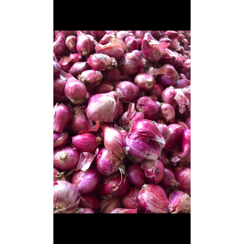 

BAWANG MERAH LOKAL CAMPUR (KECIL-BESAR) (1kg)