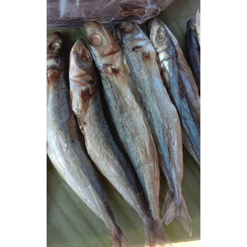 

ikan asin Kelotok