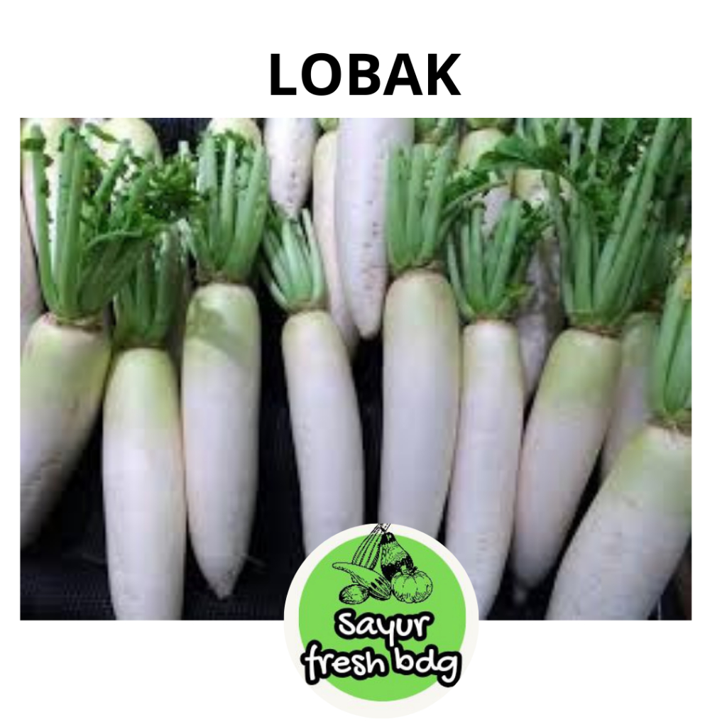 

LOBAK SEGAR PERKILO SAYUR FRESH