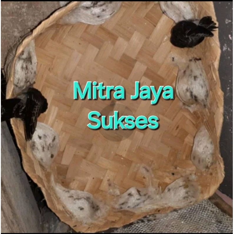 Per 10 PCS Besek Bakul Walet 25x25x10 cm besek kotak