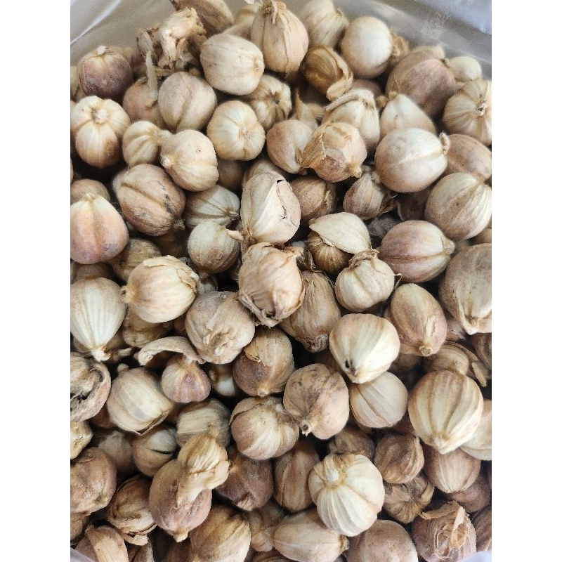 

Kapulaga Putih Kering per 50 gram