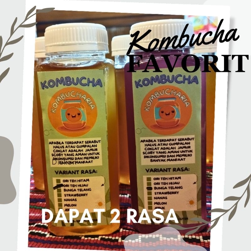 

kombucha 2 rasa ukuran 500 ml isi 2 botol