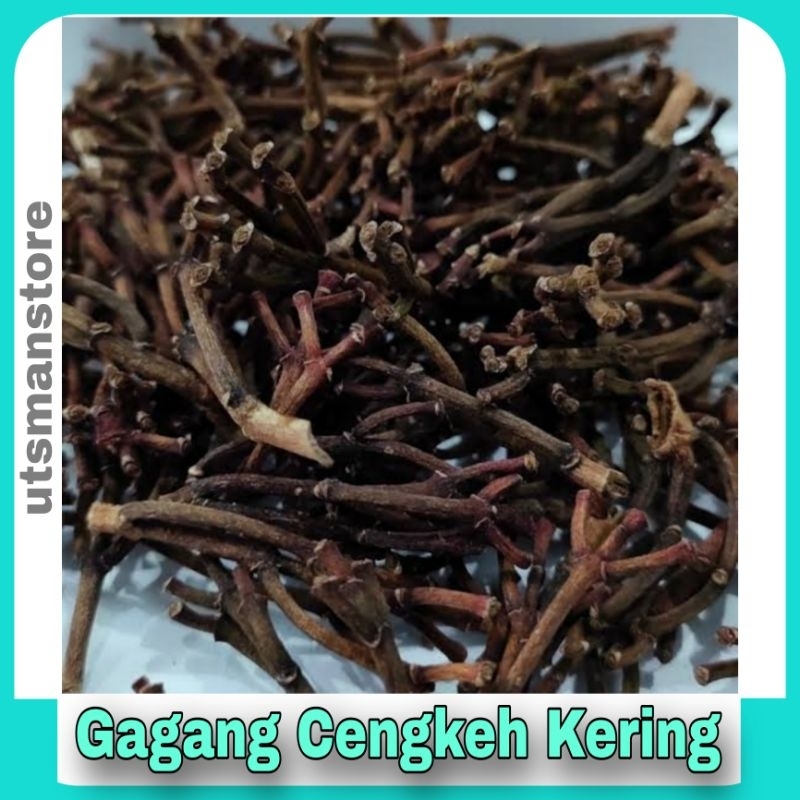 

Gagang Cengkeh Kering Asal Jawa Tengah / Clove / Tumbuhan Herbal / Rempah Rempah