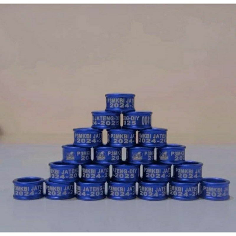 Ring P3MKBI Jateng DIY 2025-2026 | Ring Merpati