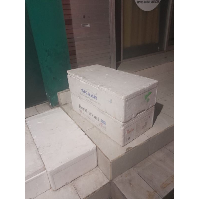 styrofoam box / gabus box( bekas ikan Tuna) import