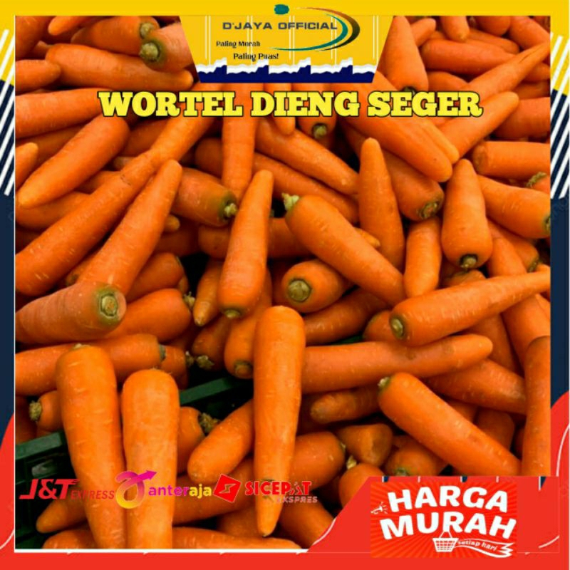 

Wortel Buah Lokal Organik 1kg