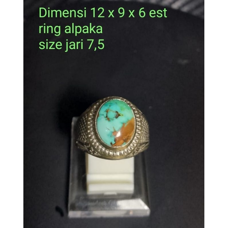 Pirus Persia biru gradasi hijau