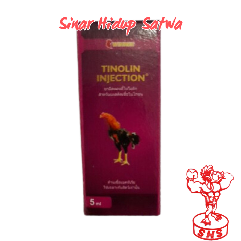 Tinolin injection obat ayam luka kena jalu