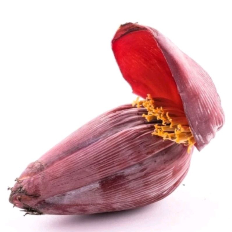 

JANTUNG PISANG KAWESTO DAN KEPOK SAYUR DI PETIK SAAT DI ORDER
