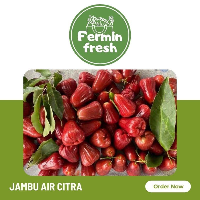 

Fermin Fresh, Jambu air citra 500 - 1000gr