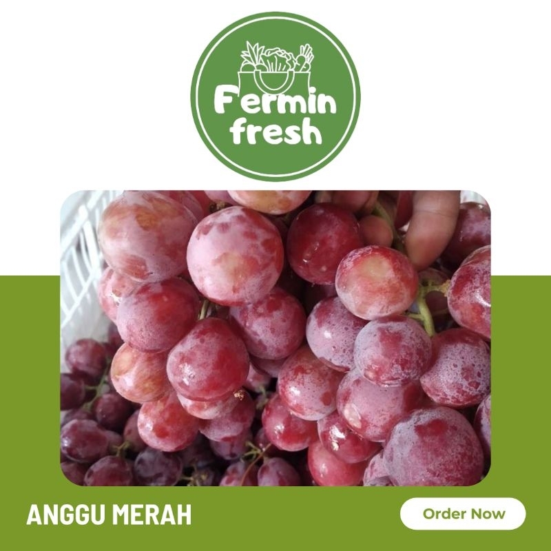 

Fermin Fresh, Anggur merah segar 500gr