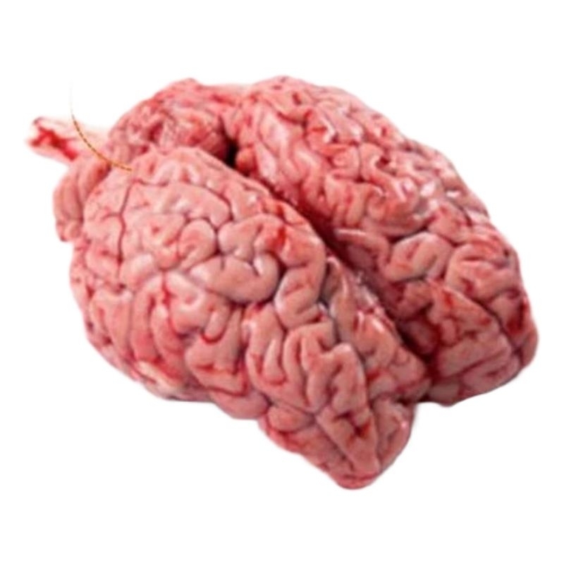 

Otak Sapi Segar 1 pc - PO H+1