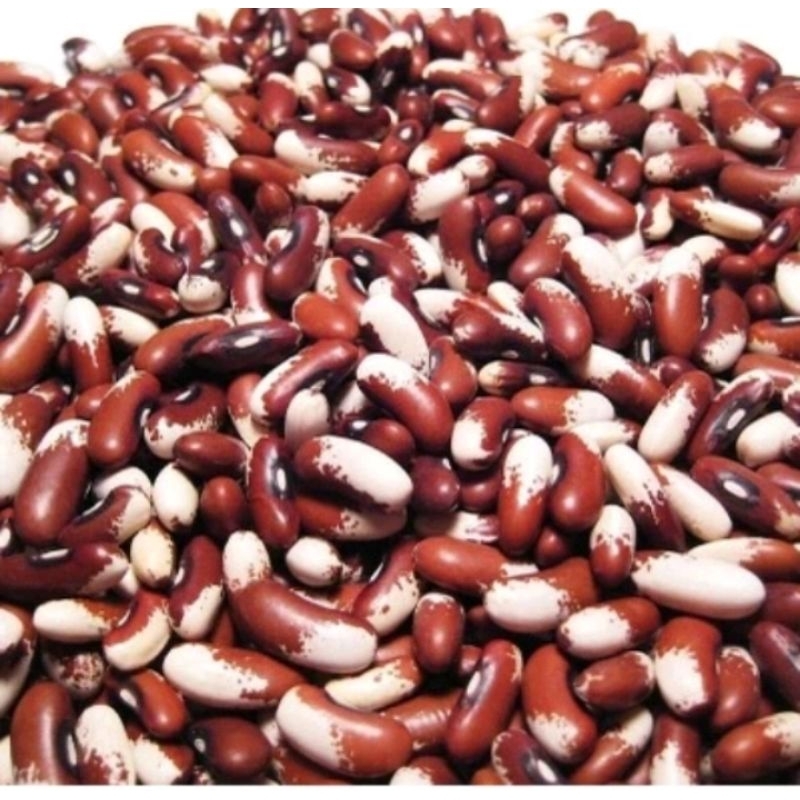 50gram Benih kacang panjang merah putih super