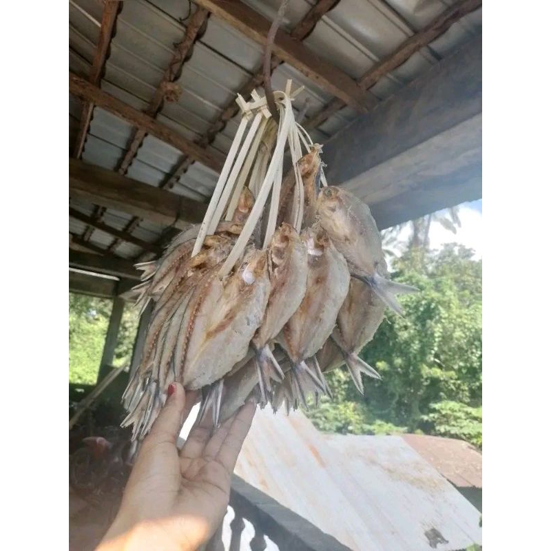 

IKAN BAWO/IKAN ASIN/IKAN LAMAHOLOT/IKAN KHAS ADONARA/IKAN ASIN NTT
