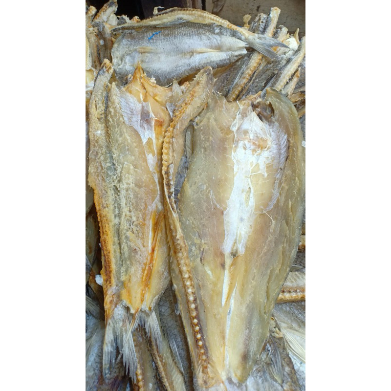 

Ikan Asin Palu-palu Belah 250gr