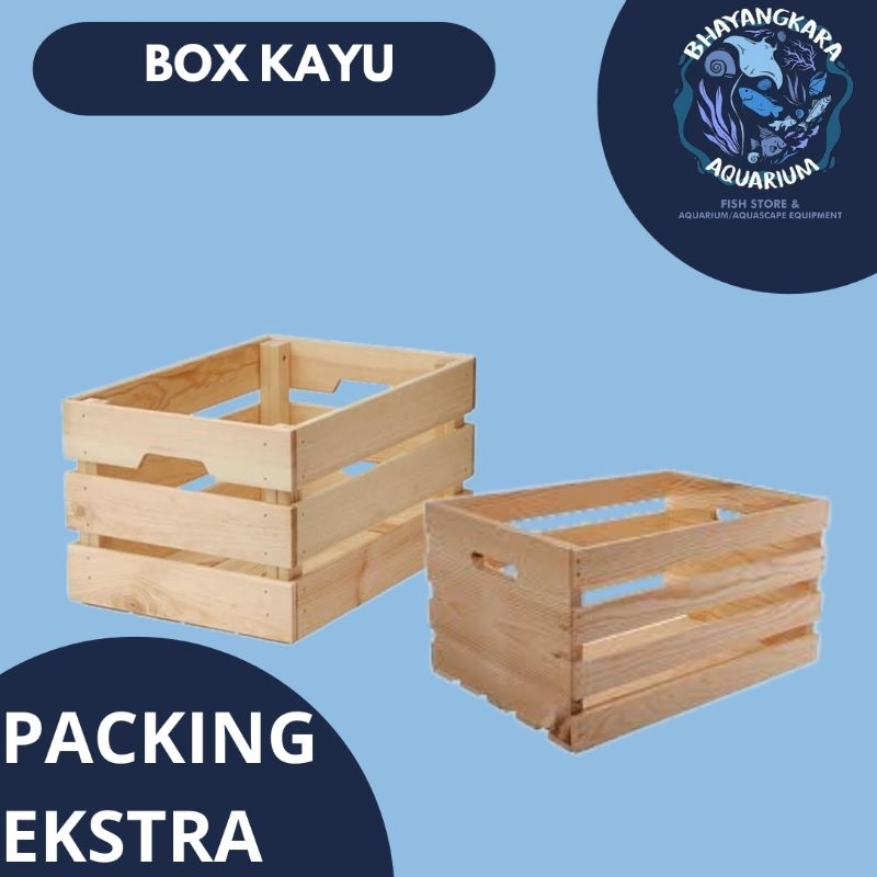 

PACKING TAMBAHAN PACKING EKSTRA PACKING KAYU