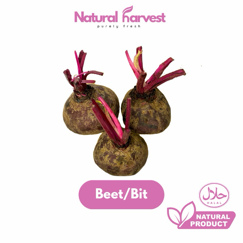 

Buah Bit/Buah Beetroot Best Seller Super Lokal | NaturalHarvest!