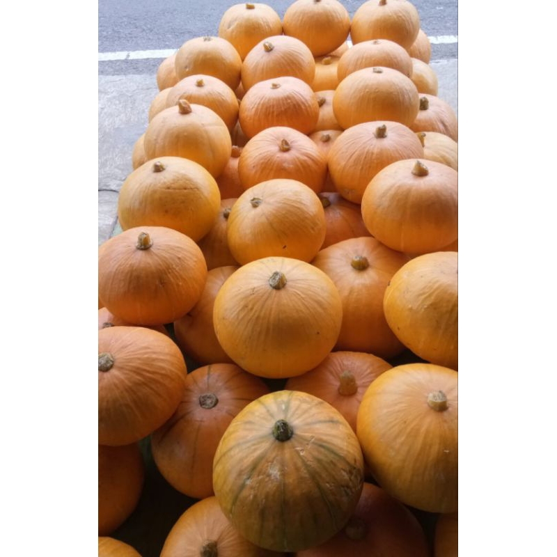 

labukuningkabocha1kg