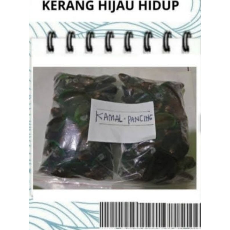 

Jual Kerang Laut/Kerang Hidup/Kerang Hijau Hidup /Seafood -1kg