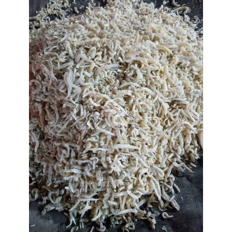 

ikan teri medan