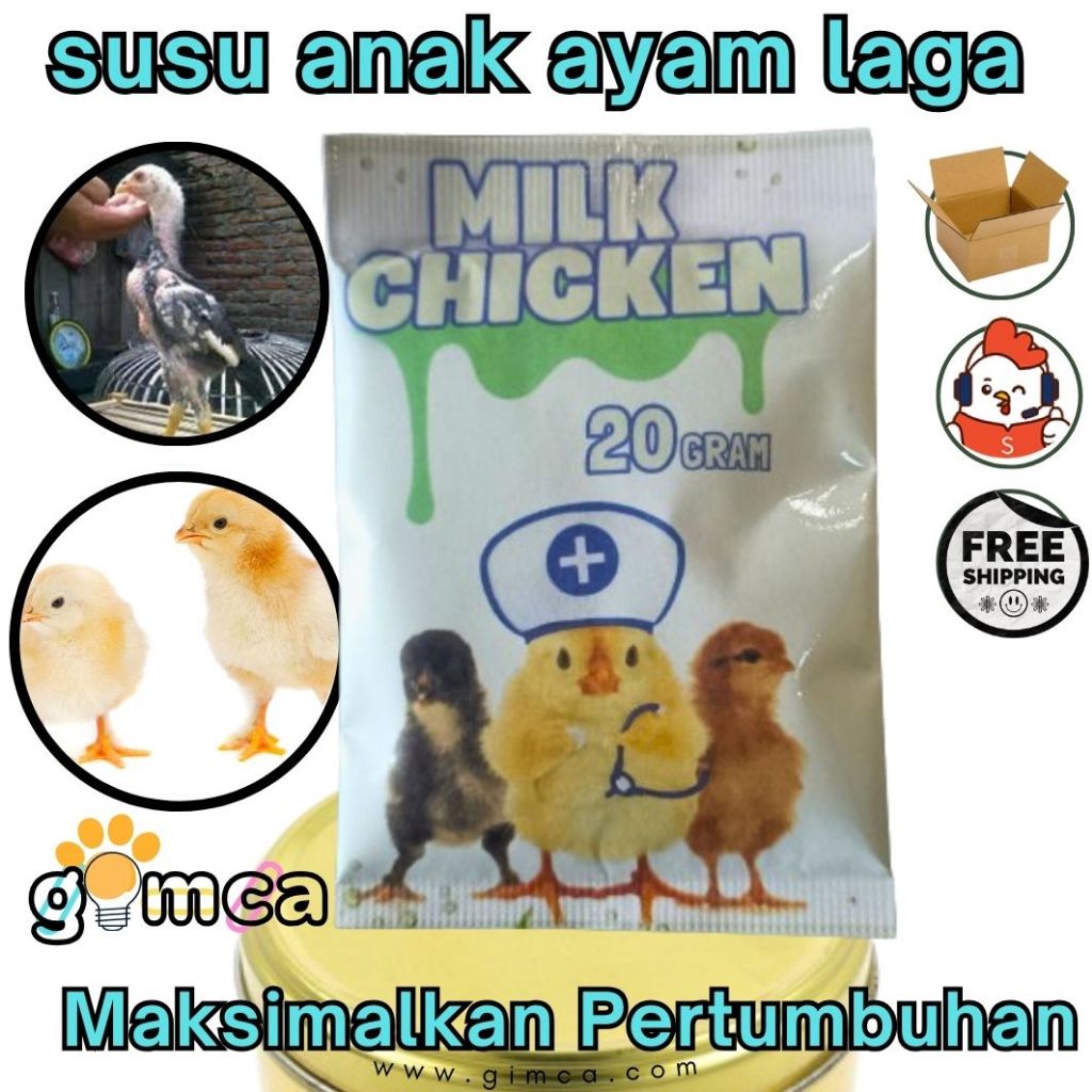 campuran pakan ayam laga berkualitas susu ayam laga ivory