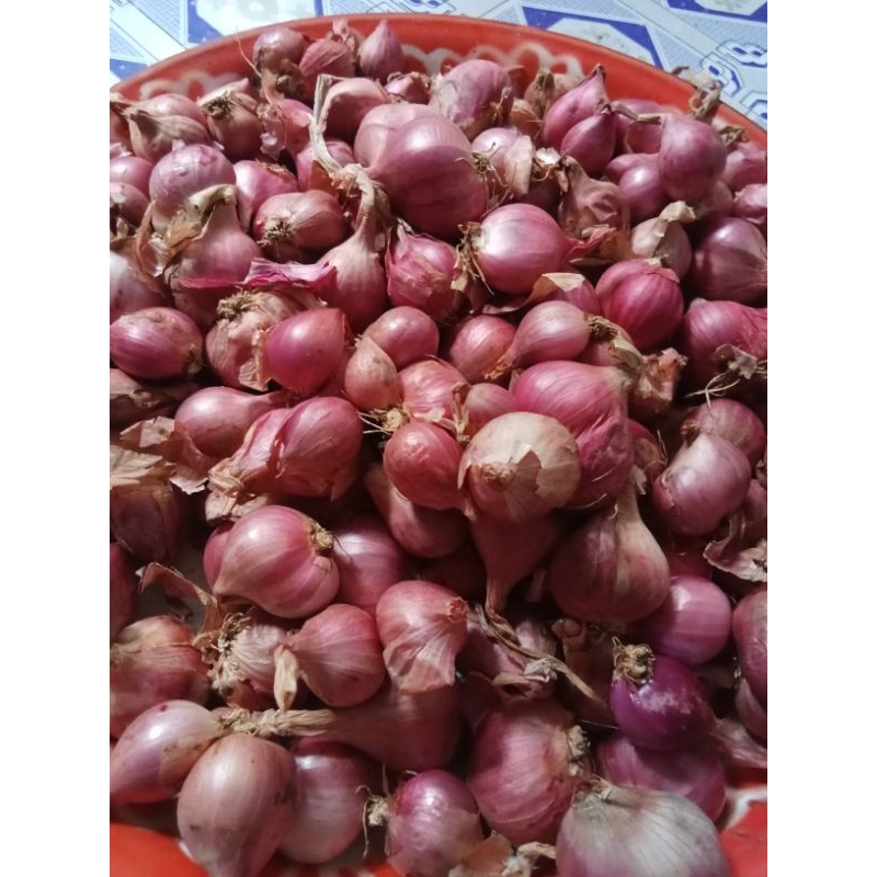 

Bawang merah 1 Kg