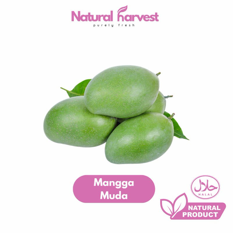 

Mangga Muda Super 1kg | NaturalHarvest!