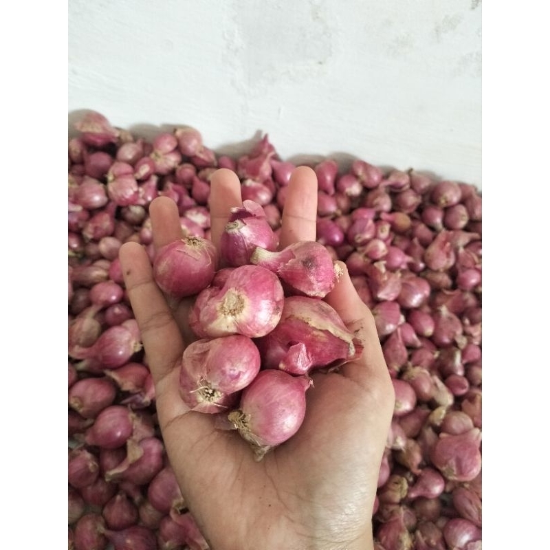 

BAWANG MERAH BESAR KERING 1 KG