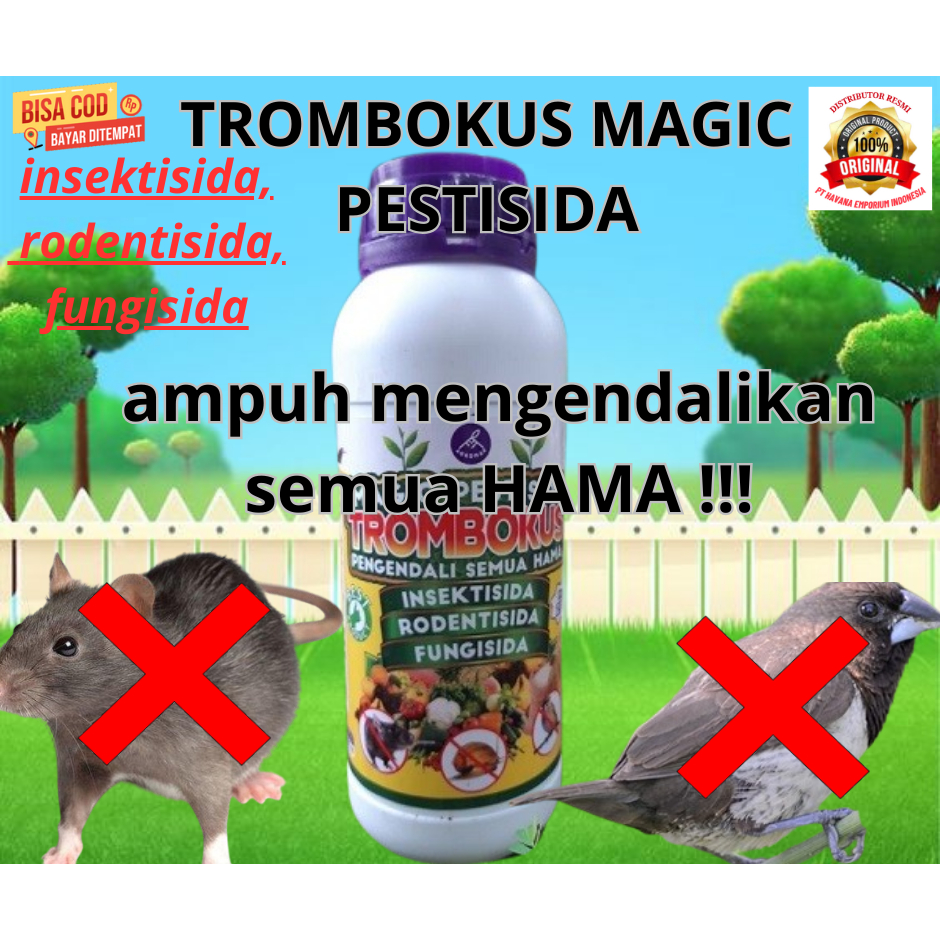 TROMBOKUS MAGIC PESTISIDA AMPUH USIR SEMUA HAMA PADI