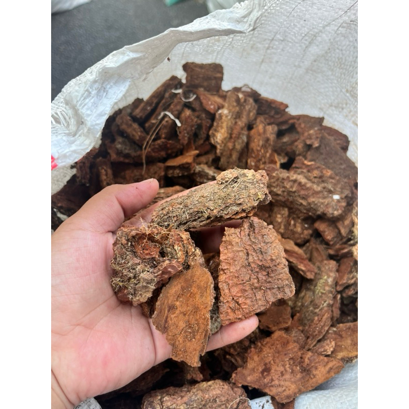 Pine bark kayu pinus premium media tanaman anggrek