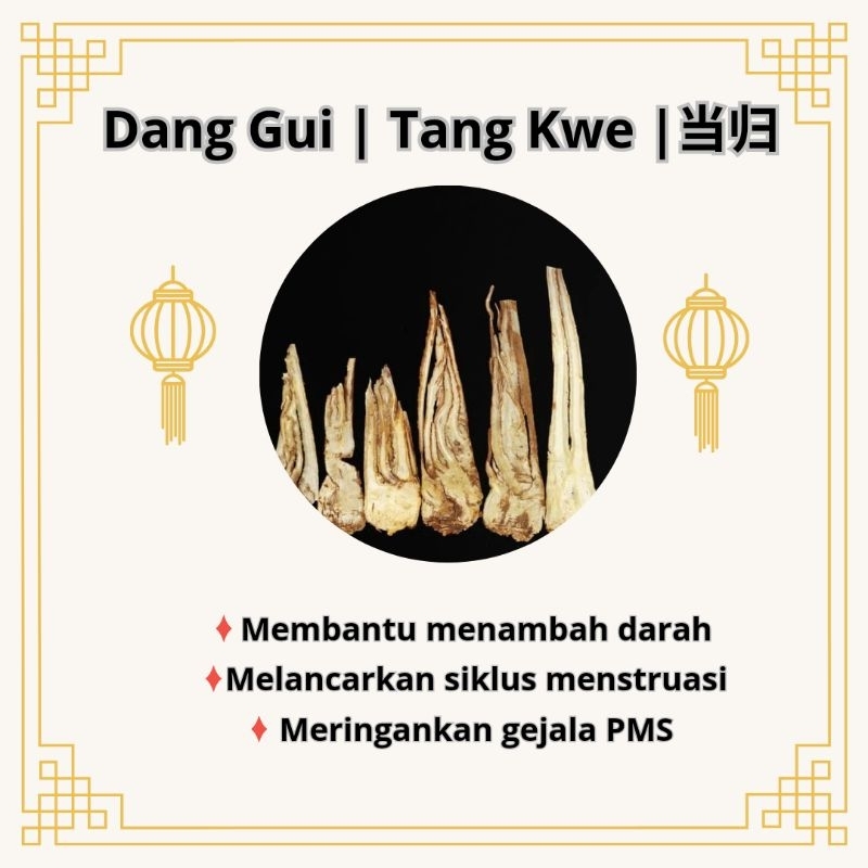 

Dang Gui [ 50 gr ] | Tang kwe |Angelica Sinensis | 当归