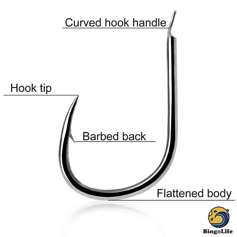 Bingolife Kail Pancing Kecil 50Pcs/Paket Kail Pancing Karbon Kail Ikan Wader Kuat Kail Berduri