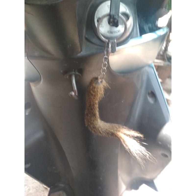 gantungan kunci unik / gantungan ekor tupai