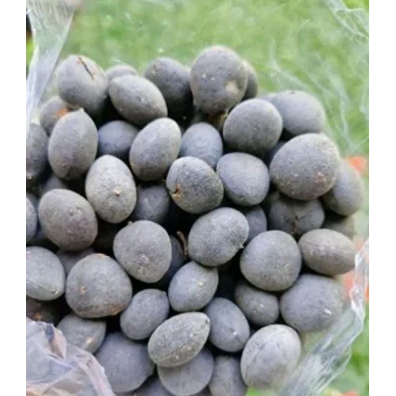 [BISA COD] ASAM KRANJI MURAH | ASAM KRANJI BUAH LANGKA | ASAMKRANJInya sesuai gambar insyaallah - Ra