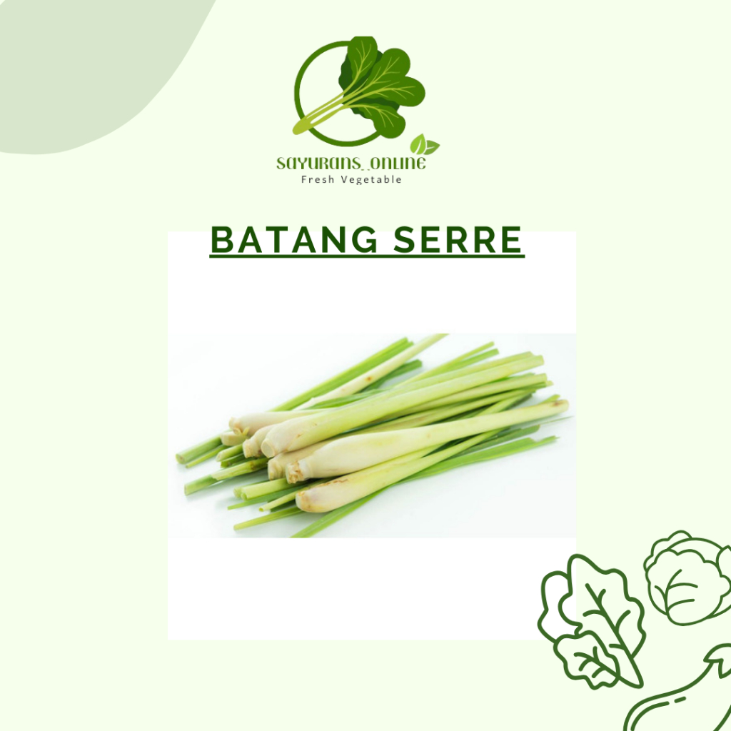 

serre / batang serreh