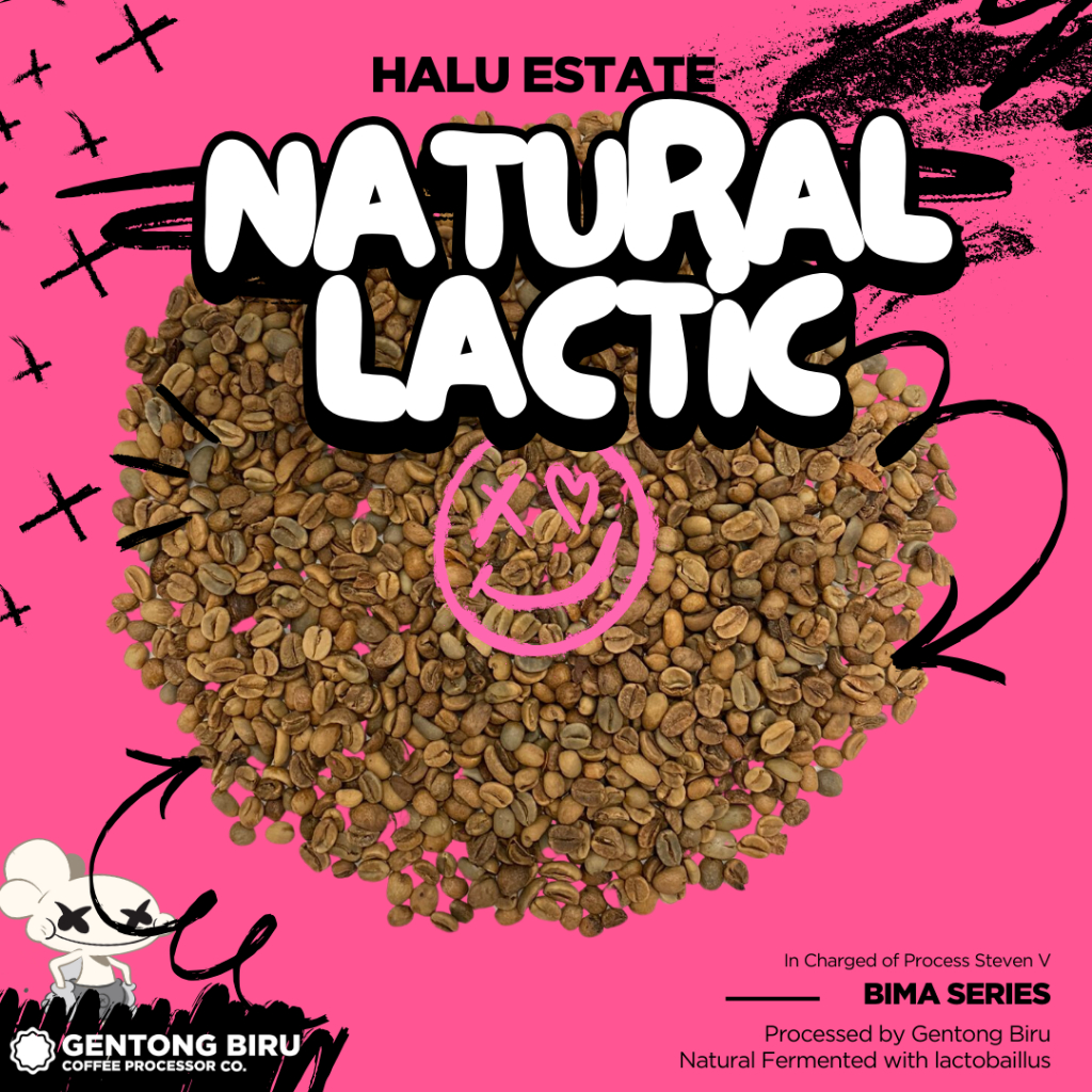 

Green Bean Halu Estate Natural Lactic Arabica Coffee