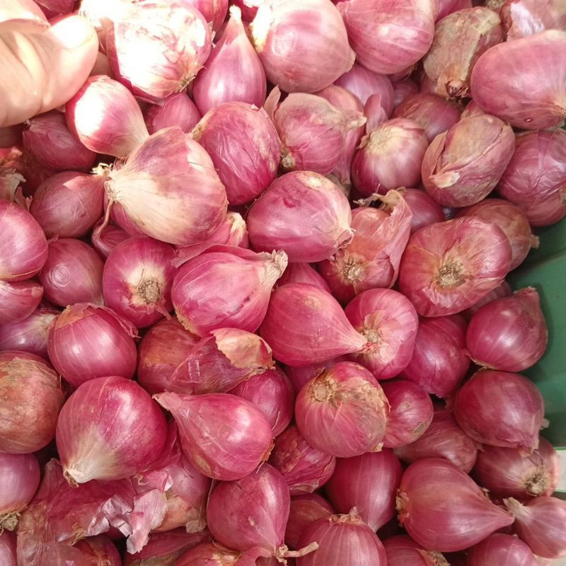 

bawang merah