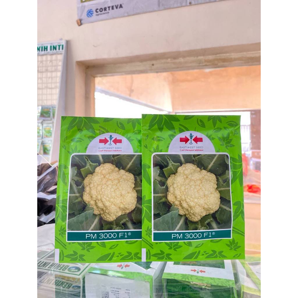 Benih Kembang Kol Pm 3000 F1 10 Gram - Cap Panah Merah