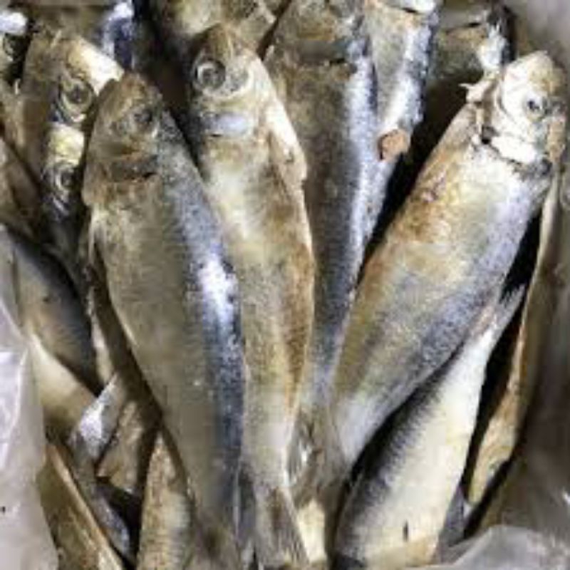 

ikan asin tembang