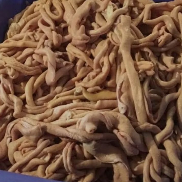 

Usus Ayam segar bukan Frozen food