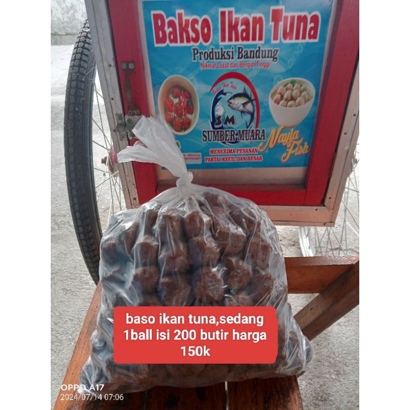 

baso ikan tuna hitam sedang